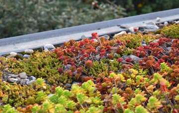 the cost of Higher End green roof installation
